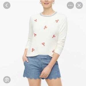 NWT J. Crew Teddy Sweater with Red Lobster Motif, M